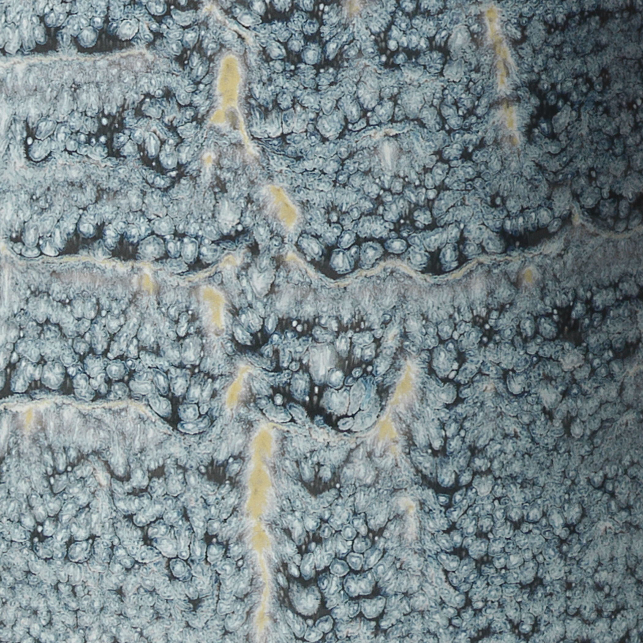 Snorkel 12 X 8 inch Vases, Set of 2