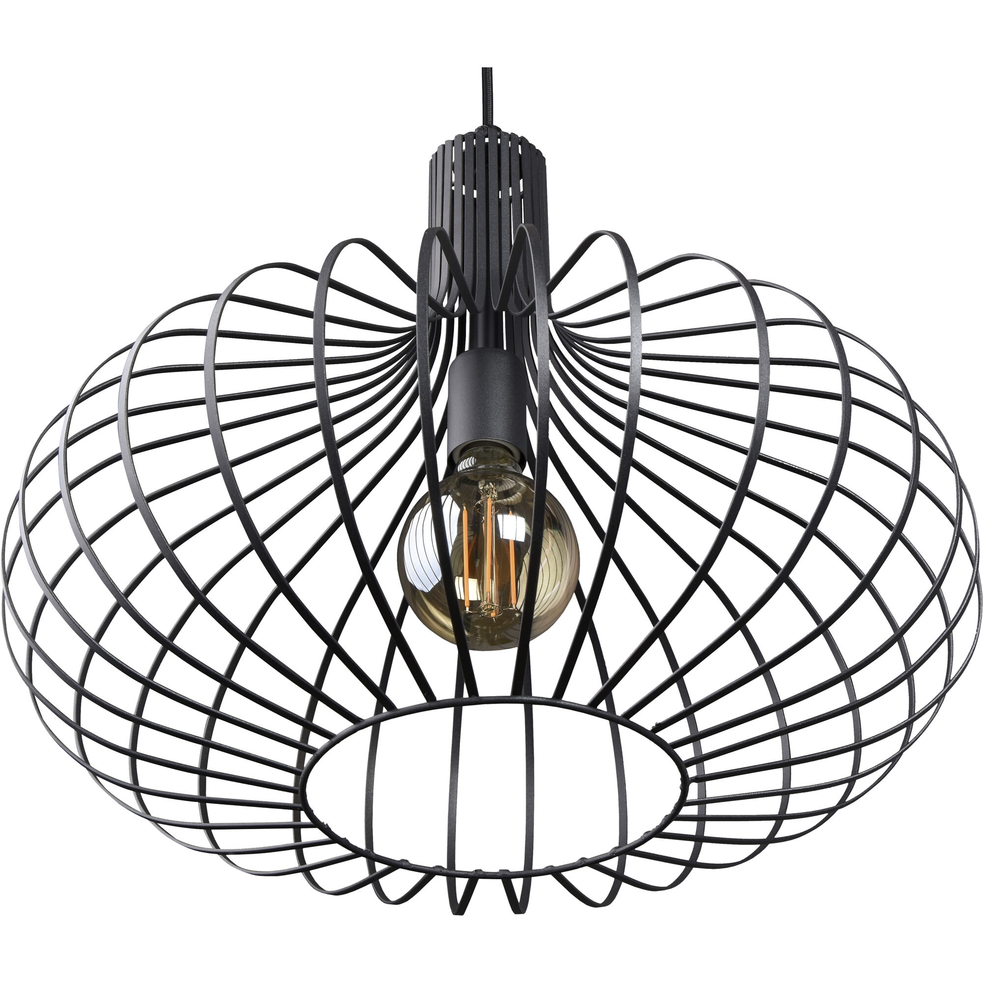 Ione 1 Light 19.75 inch Black Pendant Ceiling Light