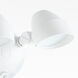 Fort Worth 2 Light 8.78 inch Studio White Flood Light