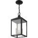 Nyack 3 Light 8.25 inch Black with Brushed Nickel Cluster Outdoor Pendant Lantern