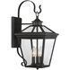 Ellijay Outdoor Wall Lantern in English Bronze