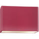 Ambiance Collection LED 10 inch Cerise Outdoor Wall Sconce