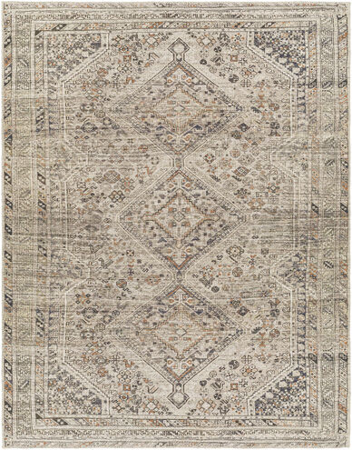 Amelie 35 X 24 inch Ivory Rug, Rectangle