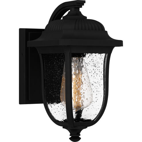 Mulberry 1 Light 12 inch Matte Black Outdoor Wall Lantern