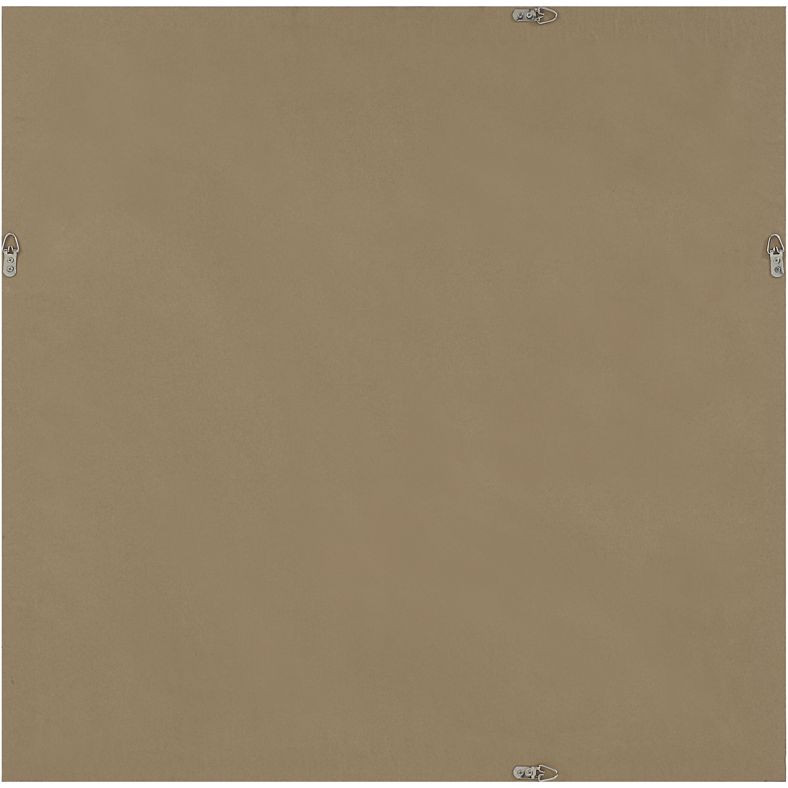 Gladiolus Green and Black and White and Beige Canvas Art