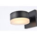 Raine Outdoor Wall Light in Black