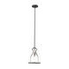 Caliper 1 Light 9.9 inch Black Pendant Ceiling Light in Clear