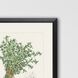 Culinary Collection Green Framed Art