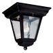 Robertson 1 Light 8 inch Black Outdoor Flushmount Lantern