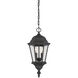 Wakefield 2 Light 9.25 inch Textured Black Outdoor Hanging Lantern