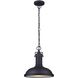 Madison 1 Light 12 inch Black Outdoor Lantern