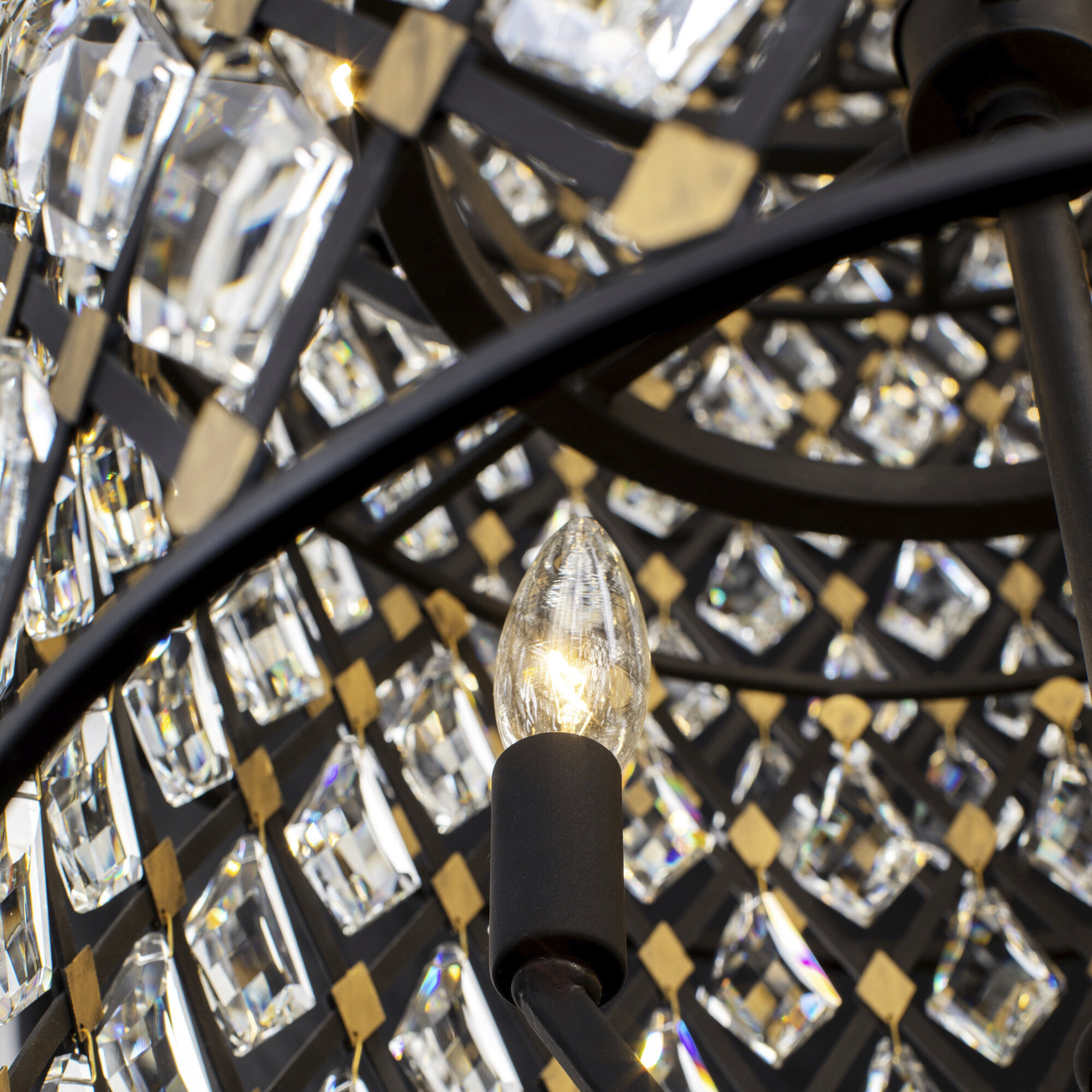 Windsor 21 Light 40 inch Carbon Black/Havana Gold Chandelier Ceiling Light