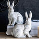 Hector Distressed White Objects