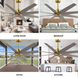 Atlas Ariella 64 inch Brushed Brass with Brushed Nickel Blades Ceiling Fan