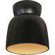 Radiance Collection 1 Light 7.5 inch Carbon Matte Black with Champagne Gold Flush Mount Ceiling Light