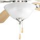 AirPro LED Unfinished Fan Light Kit