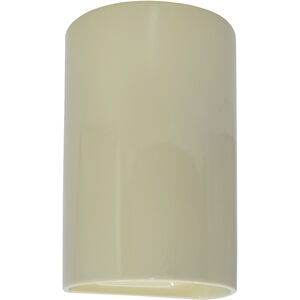 Ambiance Collection LED 12.5 inch Vanilla (Gloss) Outdoor Wall Sconce