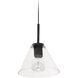 Roswell 1 Light 9 inch Matte Black with Clear Pendant Ceiling Light 