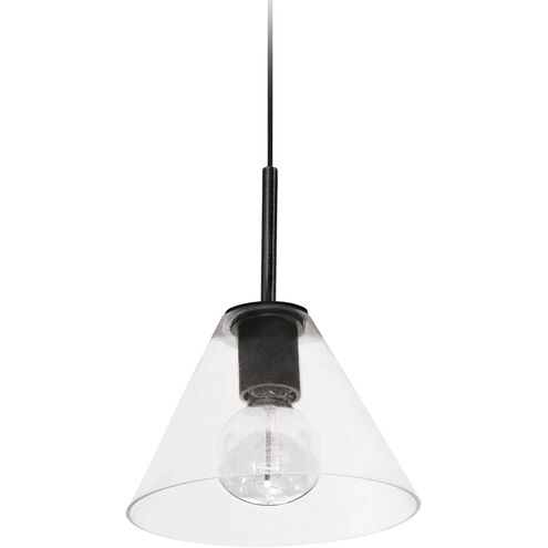 Roswell 1 Light 9 inch Matte Black with Clear Pendant Ceiling Light