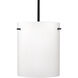 Tamburo 8 LED Black Stem Pendant Ceiling Light