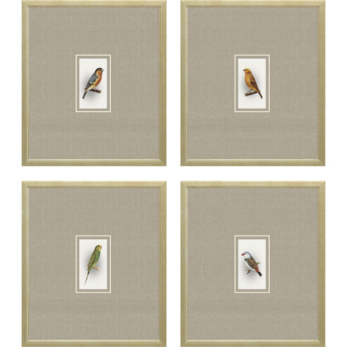 Animals Collection Multi Framed Art