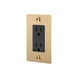 1G Duplex 125 Brass Outlet