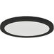 Trix LED 12 inch Black Flushmount Ceiling Light
