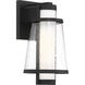 Anau 1 Light 13 inch Matte Black and Glass Outdoor Wall Lantern, Small