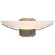 Impressions 1 Light 16.3 inch Dark Smoke Sconce Wall Light, Oval