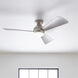 Sola 54 inch Brushed Nickel with Silver Blades Ceiling Fan