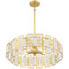 Portia 5 Light 26 inch Matte Black with True Gold Chandelier Ceiling Light