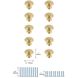 Minu Brushed Gold Hardware Cabinet Knob, Set of 10