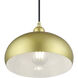 Domma 1 Light 10 inch Soft Gold with Polished Brass Accents Pendant Ceiling Light