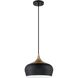 Orian 1 Light 12 inch Black and Brass Pendant Ceiling Light