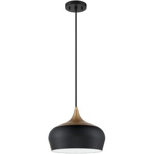 Orian 1 Light 12 inch Black and Brass Pendant Ceiling Light
