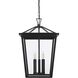 Oxford 3 Light 14 inch Black Outdoor Pendant
