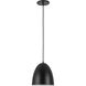Ofelia 1 Light 8 inch Matte Black Pendant Ceiling Light