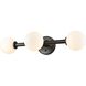 Alouette 3 Light 24 inch Graphite Bath Vanity Wall Light