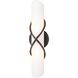 Roxbury 2 Light 18 inch Graphite Bath And Vanity Wall Light