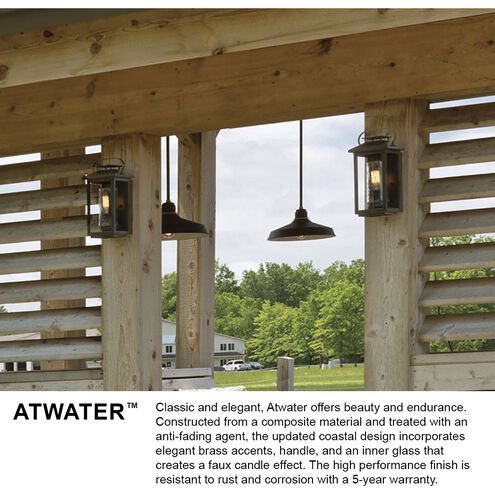 Coastal Elements Atwater LED 10 inch Ash Bronze Outdoor Hanging Lantern, Medium