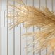Kauai 12 Light 52 inch Bleached Rattan and White Chandelier Ceiling Light