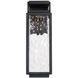 Two If By Sea LED 18 inch Black Outdoor Wall Light in 18in.