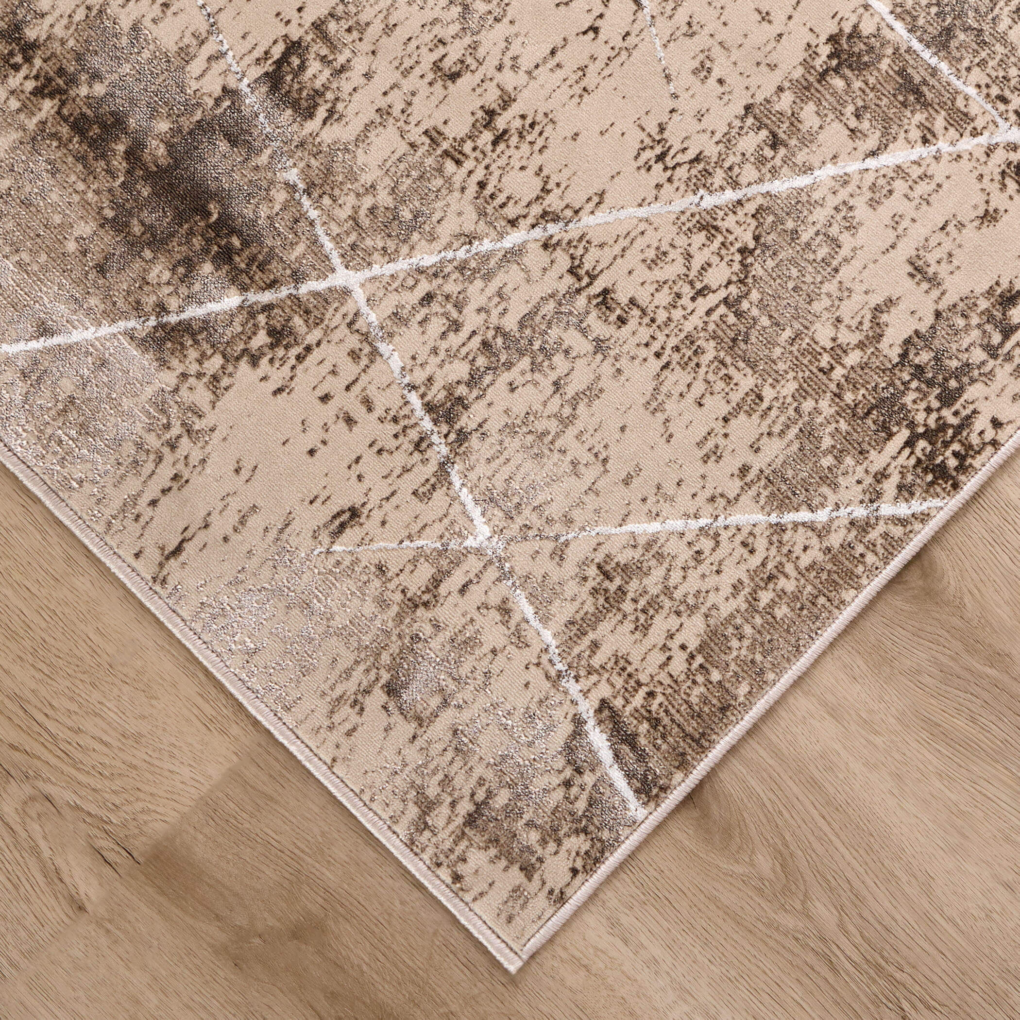 Rienz Brown Indoor Rug