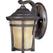 Balboa VX LED 9.5 inch Copper Oxide Outdoor Wall Mount