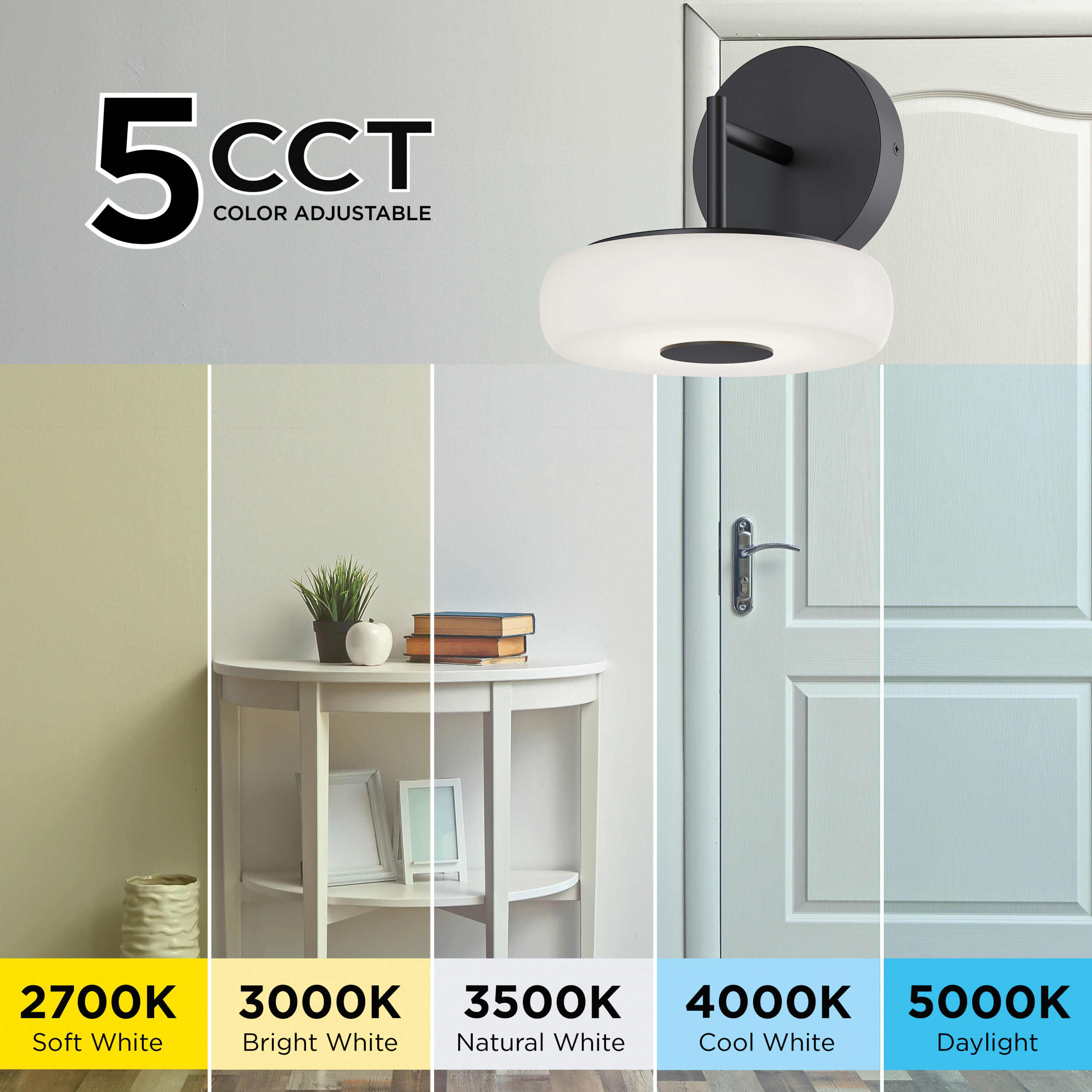 June Wall Sconce Wall Light