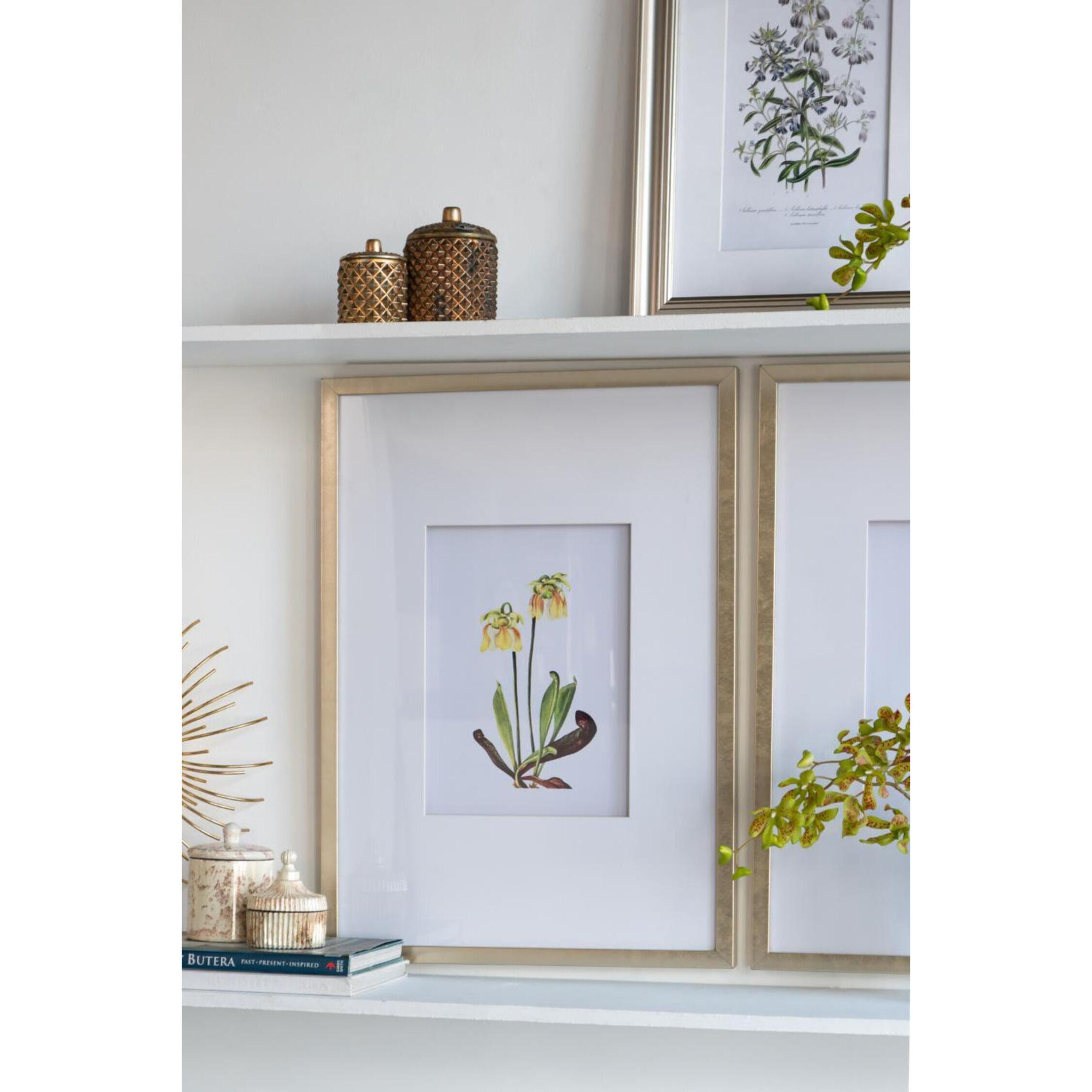Botanical Multi Color Wall Art, Set of 4