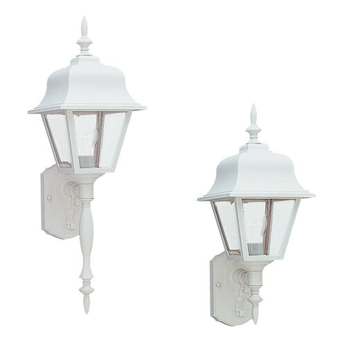 Polycarbonate Outdoor 1 Light 25 inch White Outdoor Wall Lantern, Large
