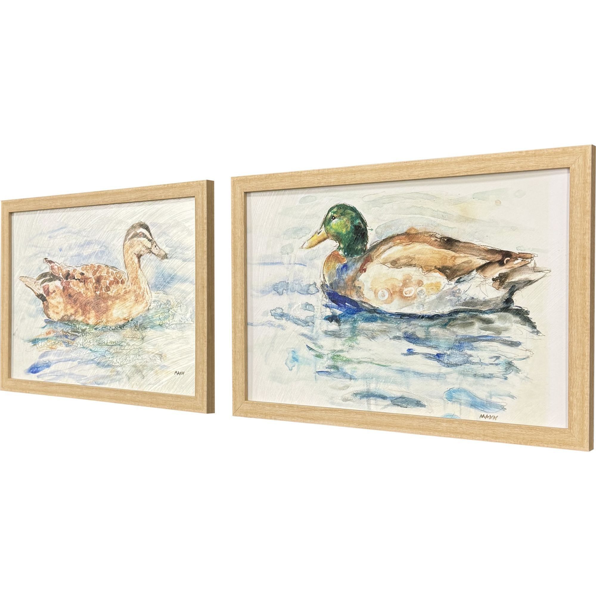 Water Duck 20 X 14 inch Non-Glass Framed Art, Propac