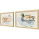 Water Duck 20 X 14 inch Non-Glass Framed Art, Propac