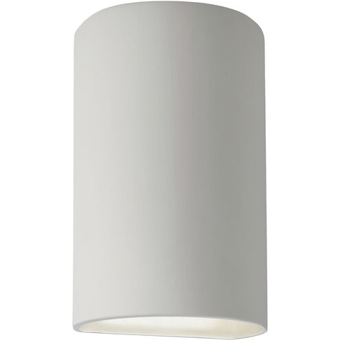 Ambiance Cylinder LED 12.5 inch Bisque Outdoor Wall Sconce, Large